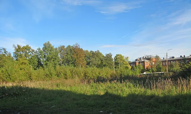 Vinogradskyy skver