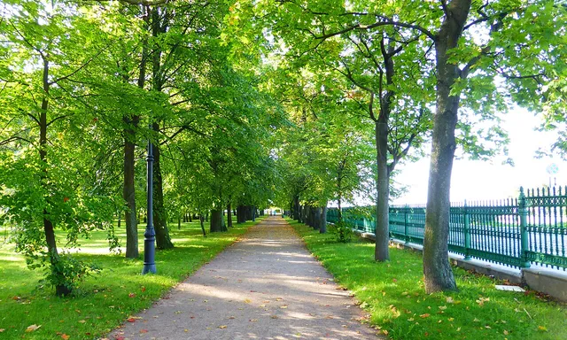 Petrovsky Park