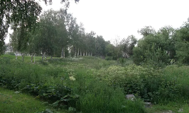 Polezhaevsky Park