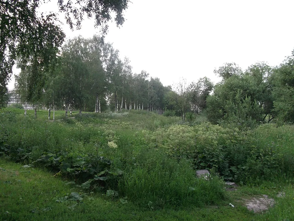 Polezhaevsky Park