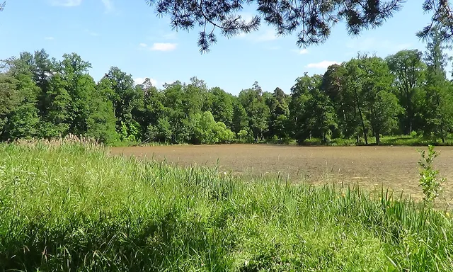 Alexandria Park