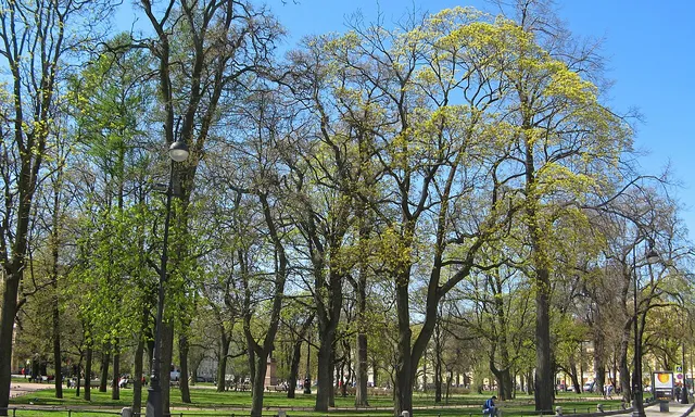 Mikhailovsky Square