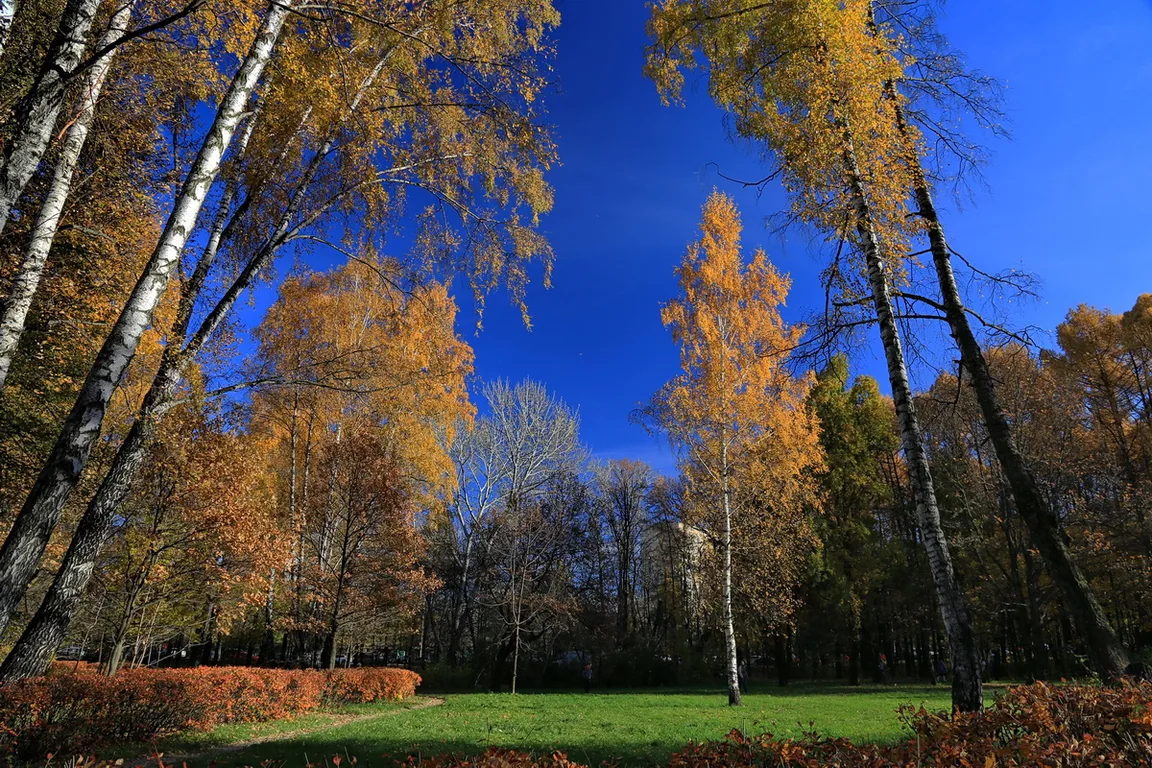 Sokolniki Park