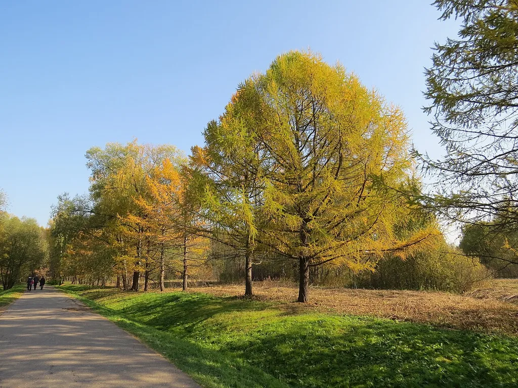 Izmaylovsky Park