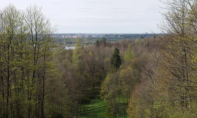 Duderhof Heights