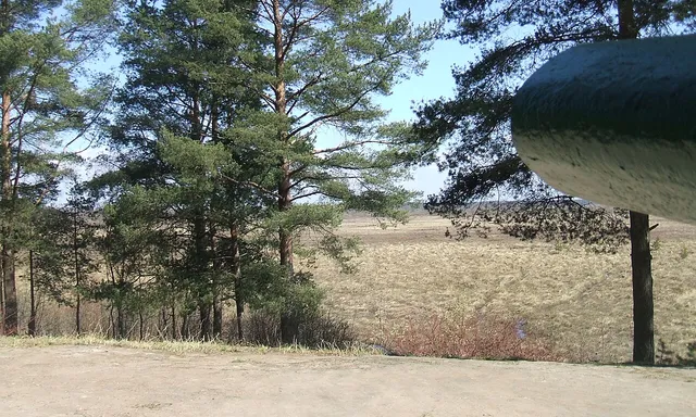 Сестрорецкое болото