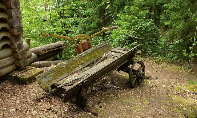 Kurgalsky Nature Reserve