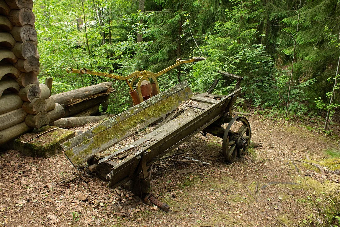 Kurgalsky Nature Reserve