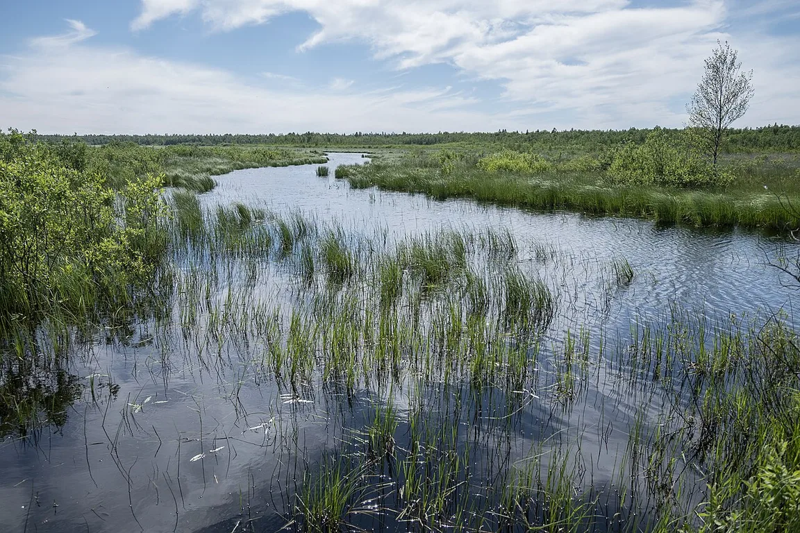 Коккоревский заказник
