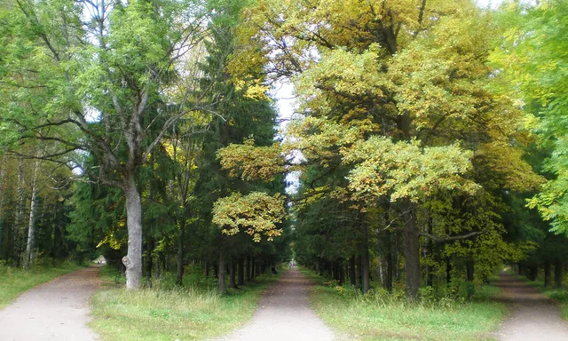Silviya Park