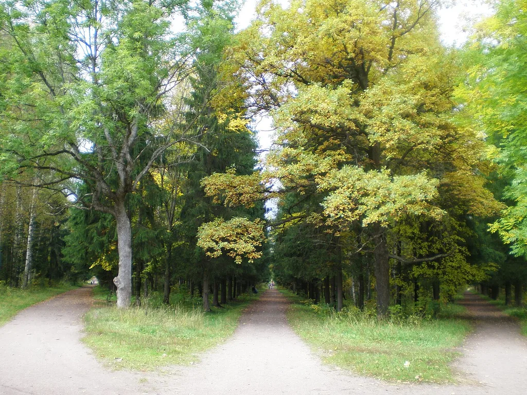 Silviya Park