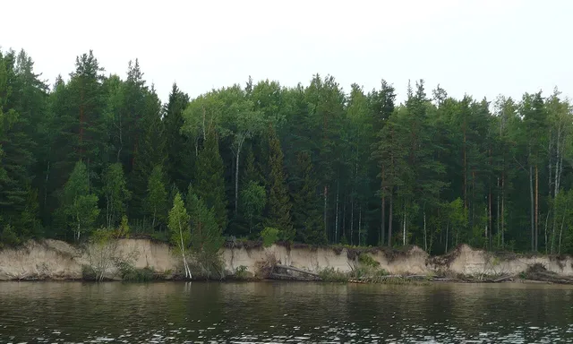 Nizhnesvirsky Nature Reserve