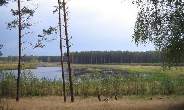 Тумботинский заказник