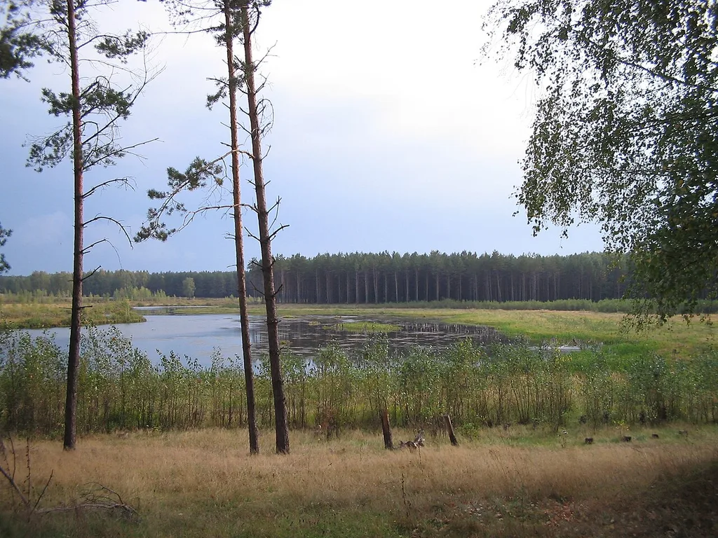 Tumbotinskiy zakaznik