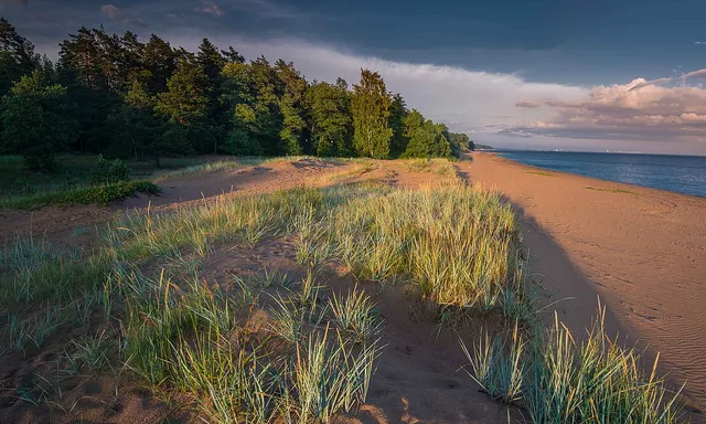 pamyatnik prirody «Komarovskiy bereg»