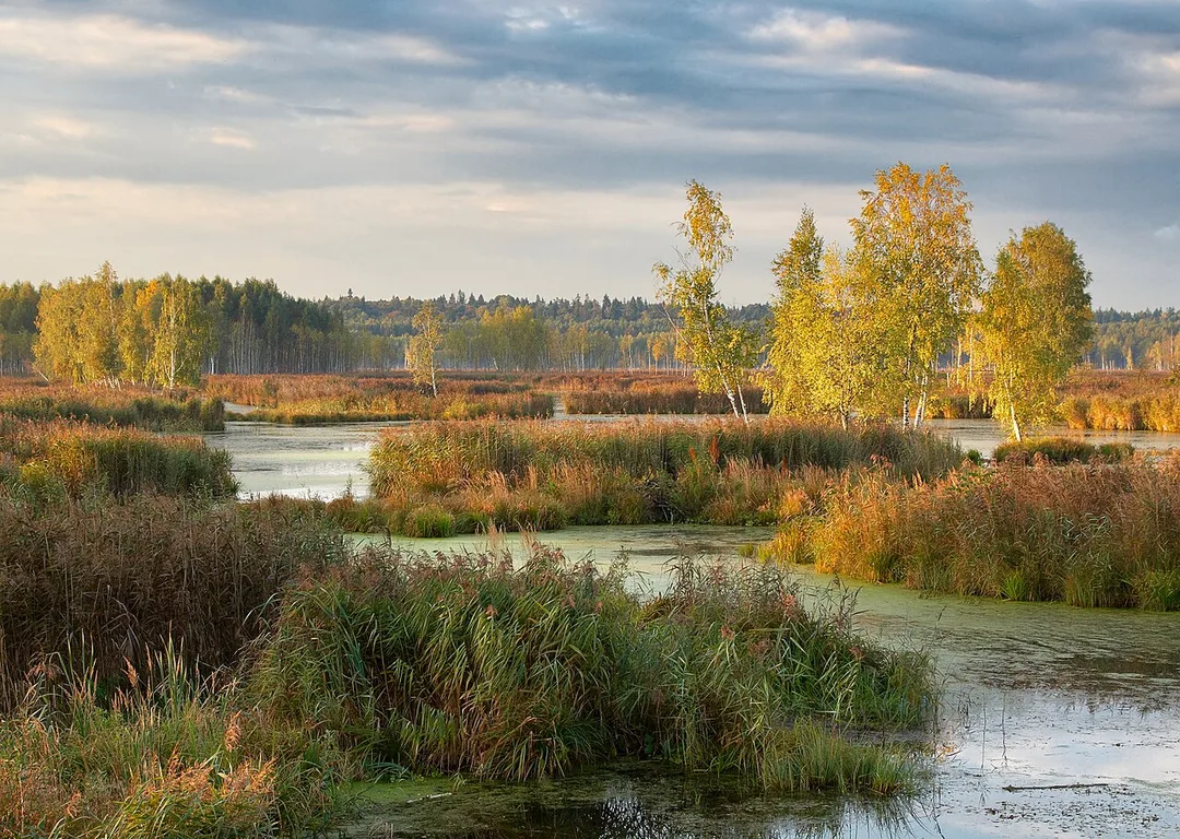 Losiny Ostrov National Park