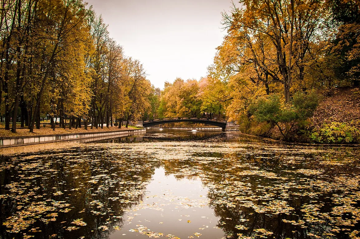 Gorodskoy park kultury i otdyha