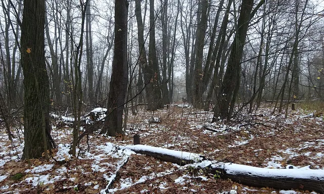 Usadba "Kishkino"