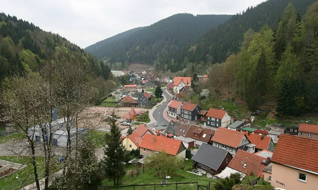 lesopark Luizental