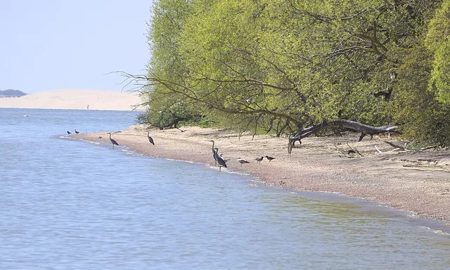 Curonian Spit National Park