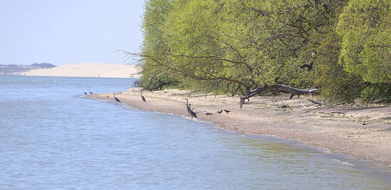 Curonian Spit National Park