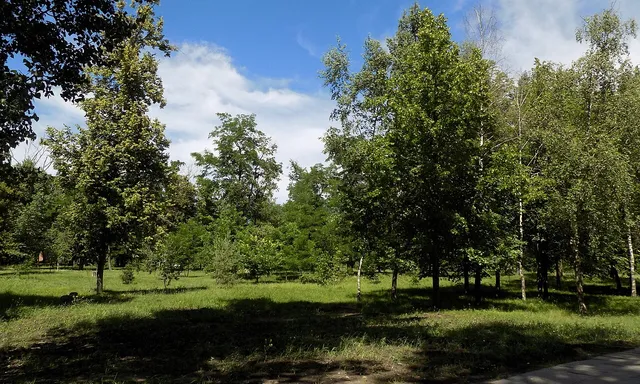 Park Pamyati, Kaliningrad Oblast