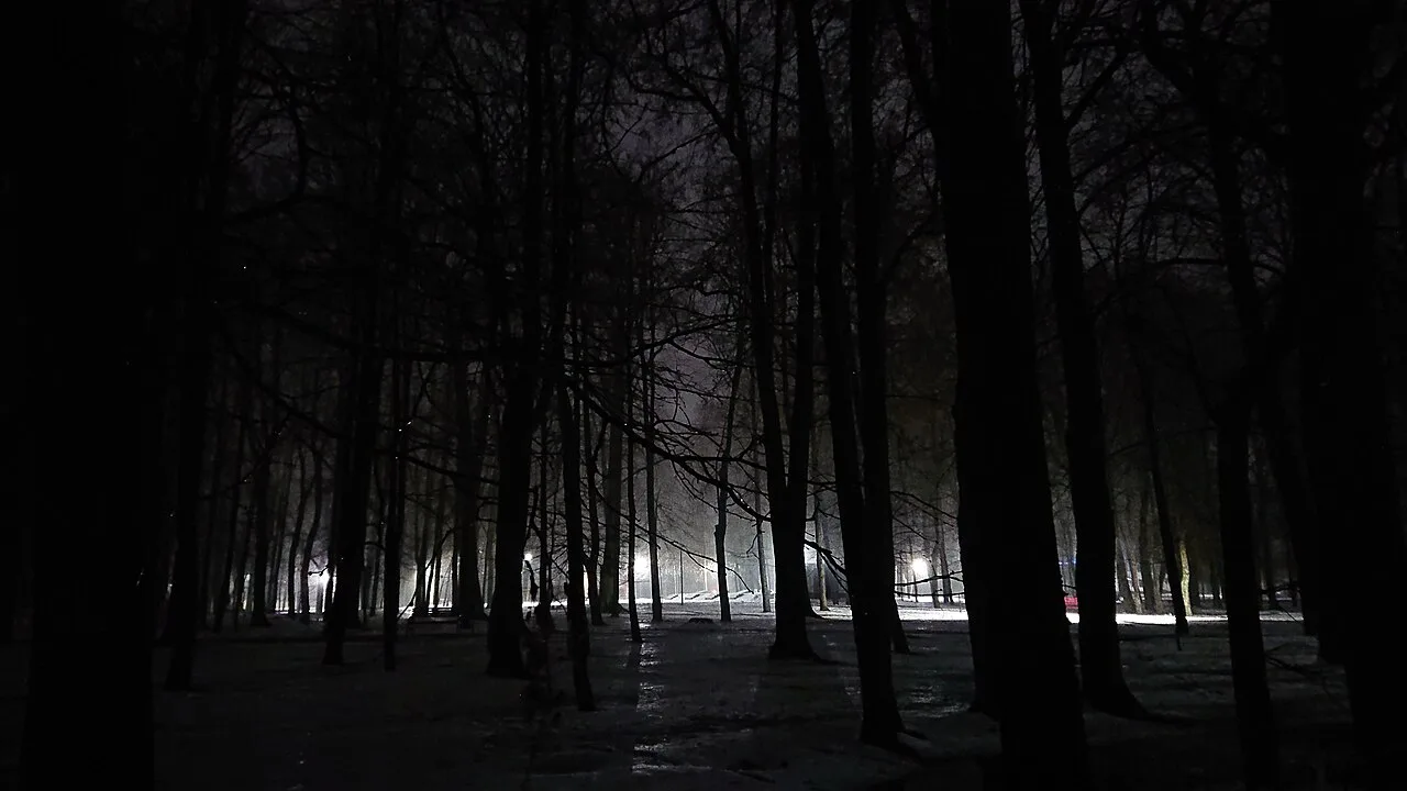 Tsentralnyy park