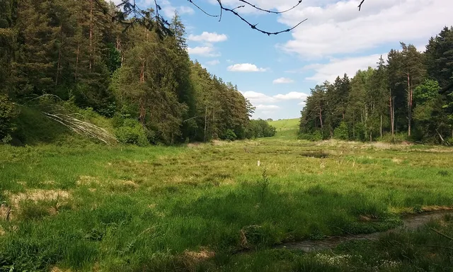 Natsionalnyy park «Vishtynetskiy»