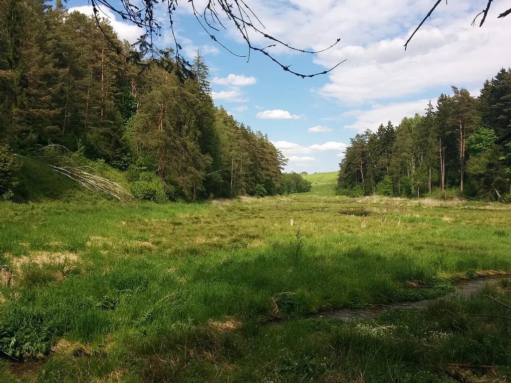 Natsionalnyy park «Vishtynetskiy»