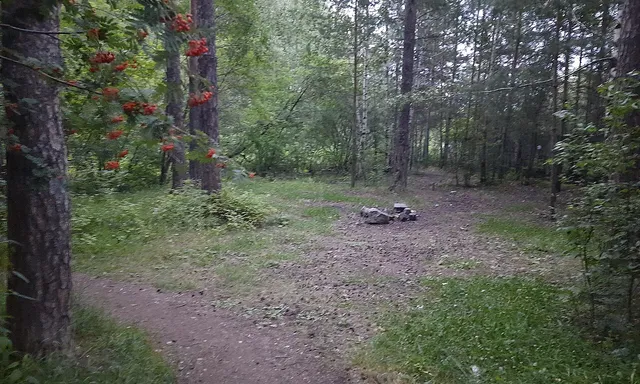 TSPKiO im. Mayakovskogo