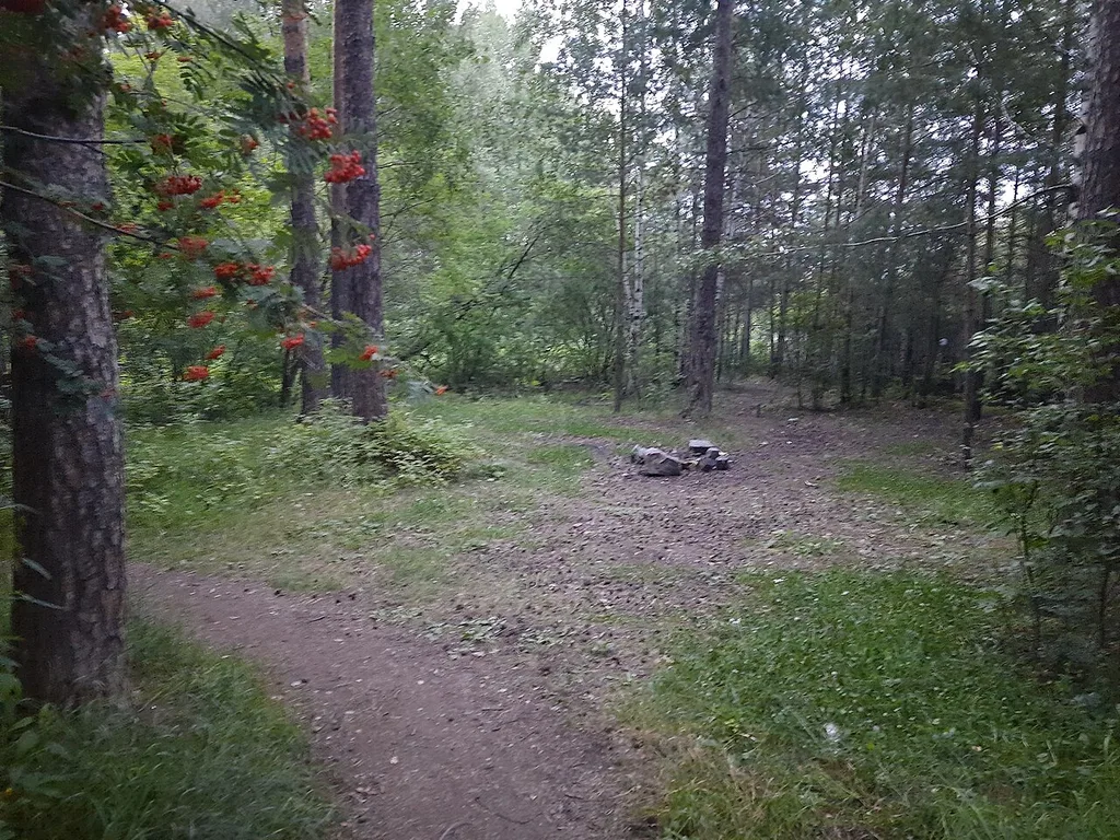 TSPKiO im. Mayakovskogo