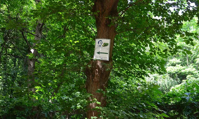 PKiO "Beryozovaya roscha"