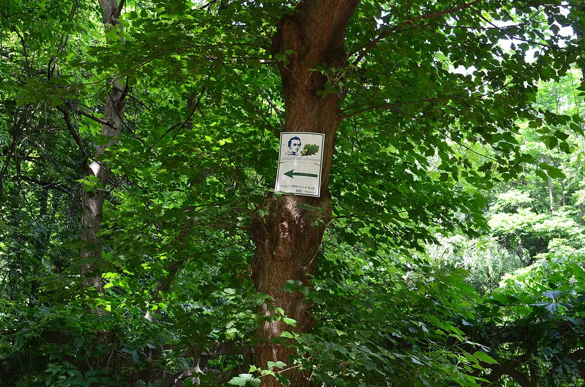 PKiO "Beryozovaya roscha"