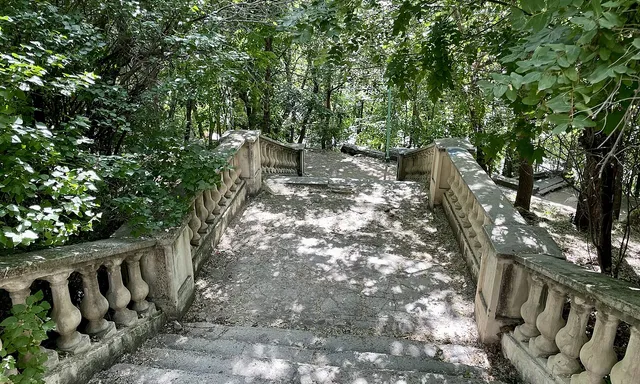 Tsentralnyy park, Novosibirsk Oblast