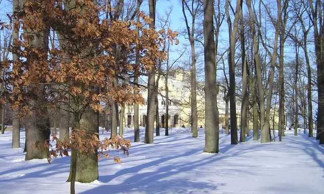 park Aleksandriya