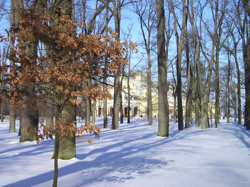 park Aleksandriya