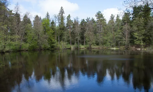 ekopark «Chyornoe ozero»