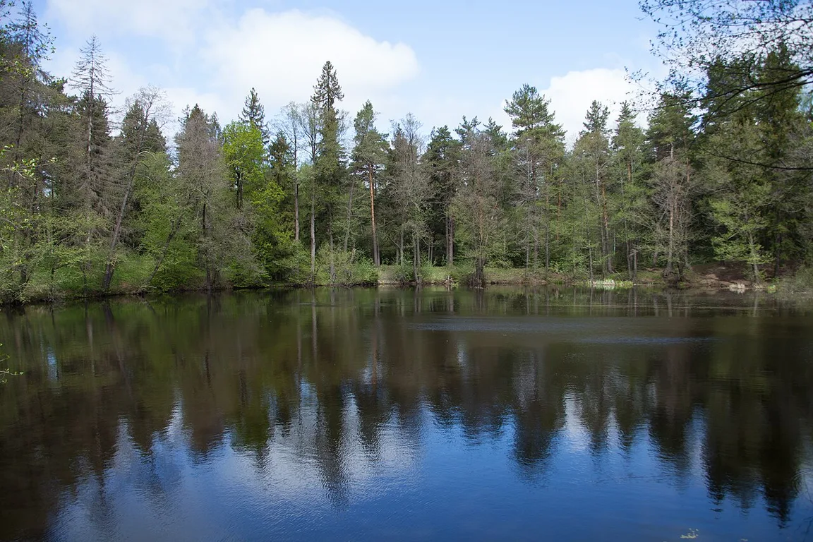 ekopark «Chyornoe ozero»