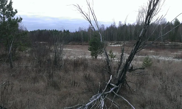 Kerzhenskiy Nature Reserve
