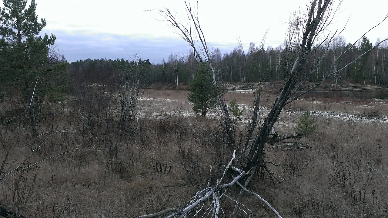 Kerzhenskiy Nature Reserve
