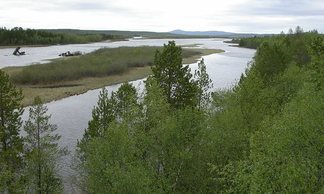 Pasvik Nature Reserve