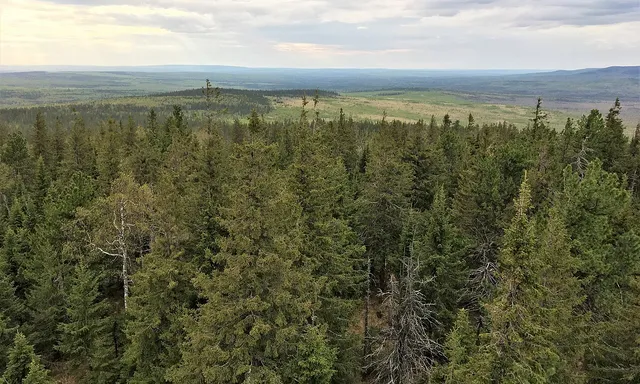 Visimskiy Biosphere Reserve
