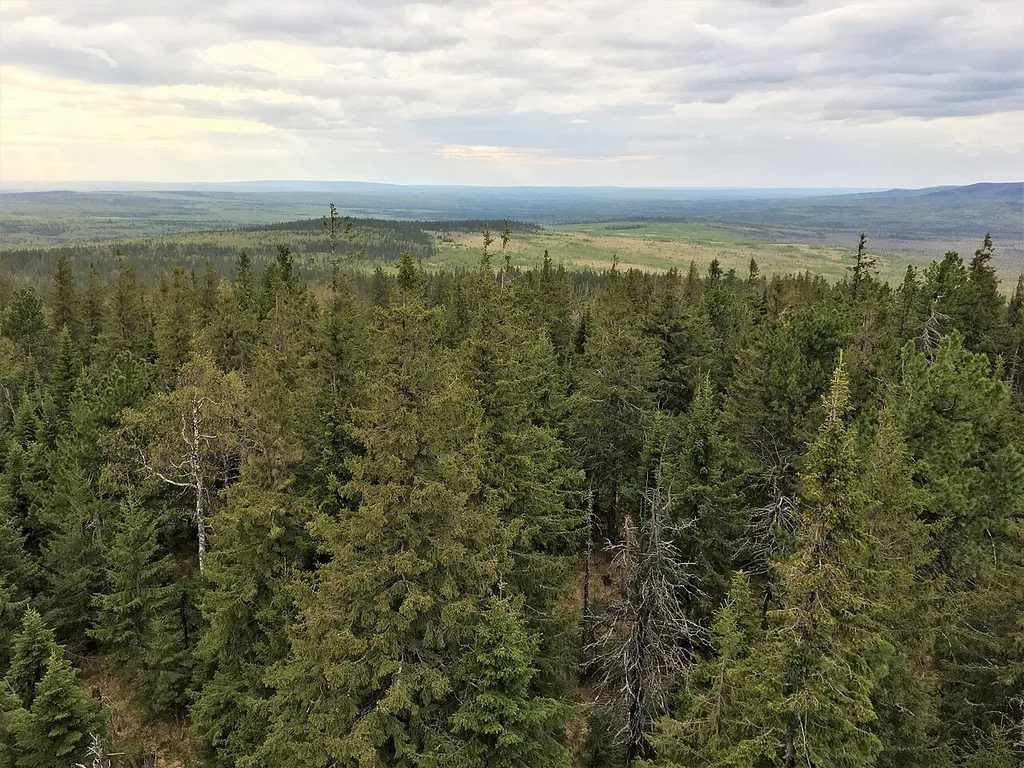 Visimskiy Biosphere Reserve