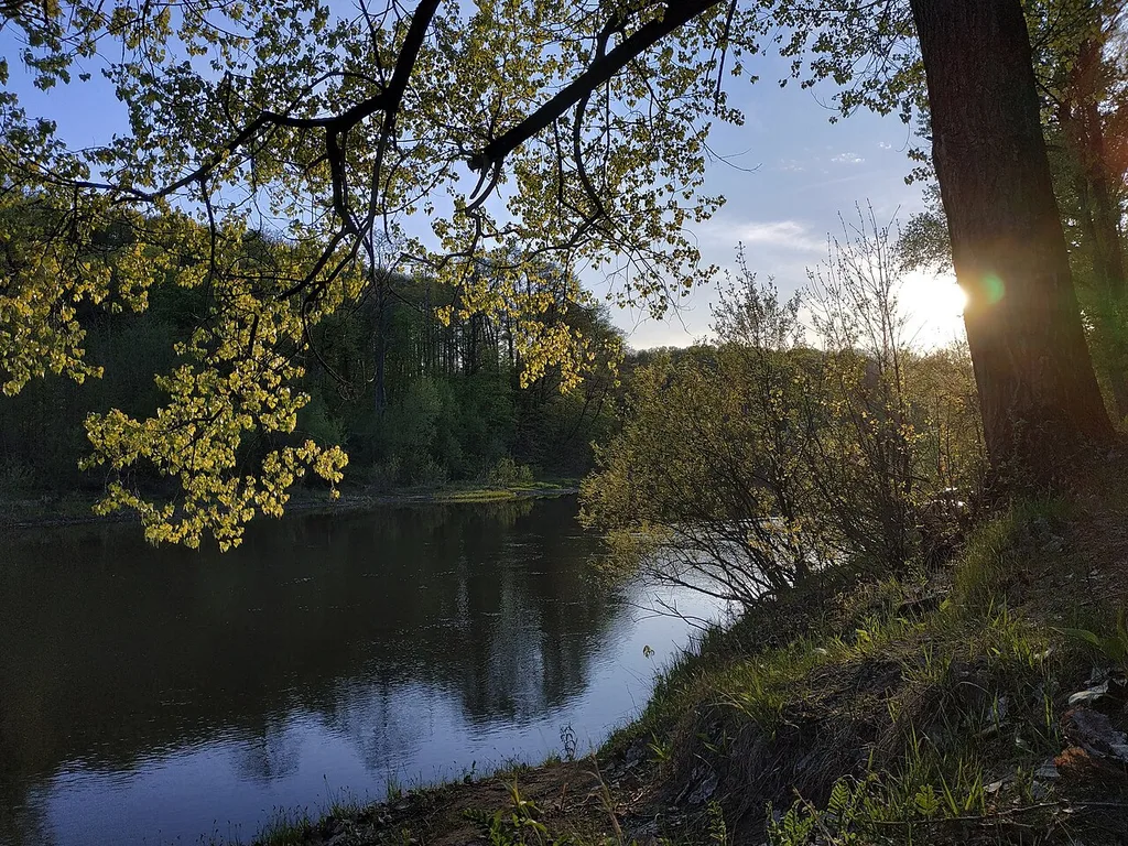 roscha Solovi