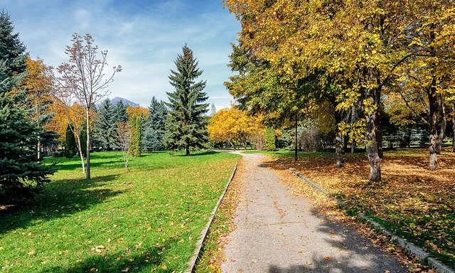 Komsomolskiy park, Stavropol Krai