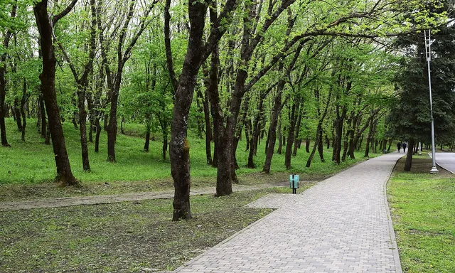 Emmanuelevskiy park