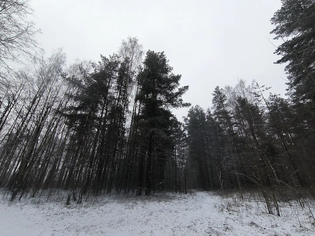 Novoorlovskiy zakaznik