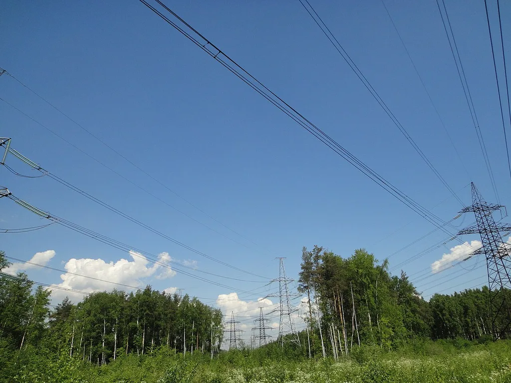 Rzhevsky city forest