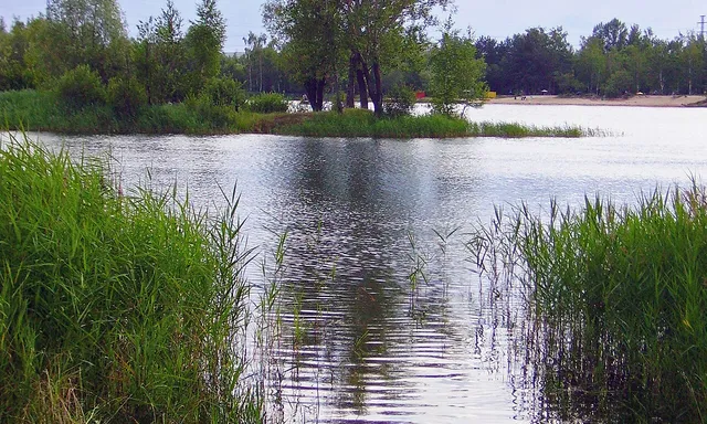 Svetloyarskiy park