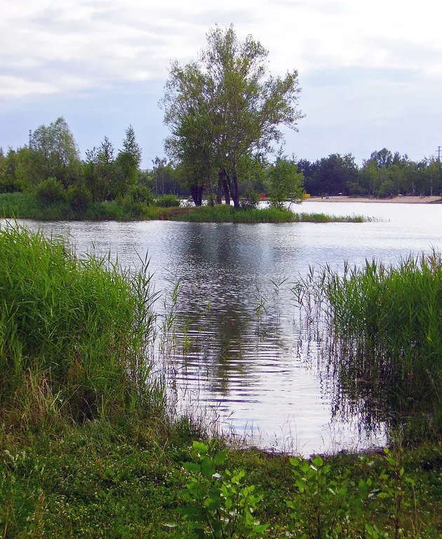 Svetloyarskiy park